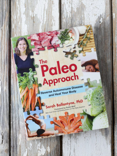 The paleo approach book